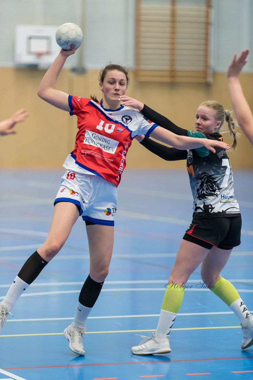 Bild 201 - wBJ HC Quickborn - HSG Tills Loew. : Ergebnis: 19:20